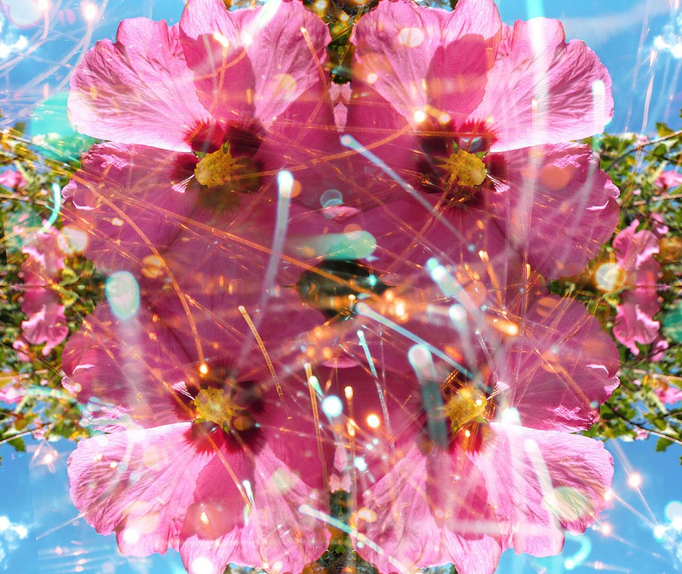 Amapola-ed: Closed 2013, C-print, 32" x 38"