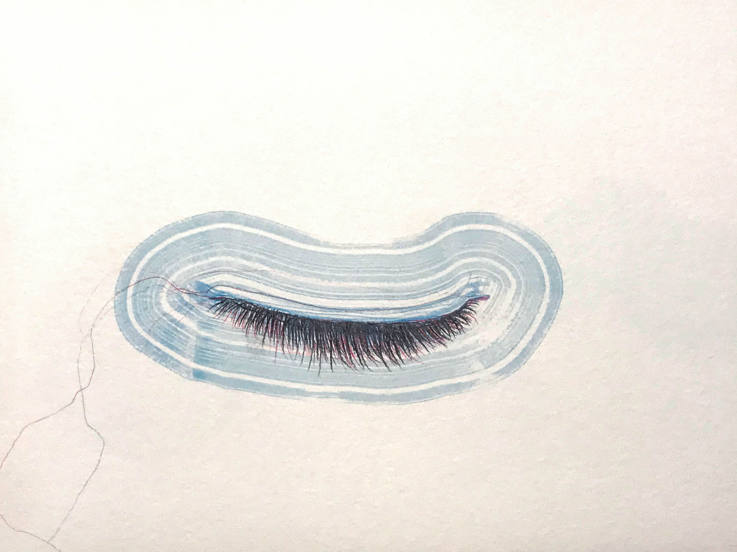 Lashes, 6"x 12" 2012, watercolor, colored pencil, ink on paper