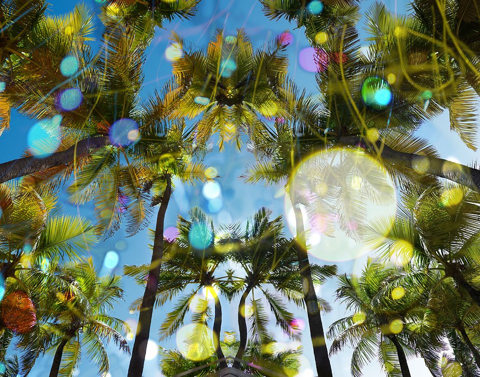 PR Dreams 1 2013, C-Print, 46” x 60"