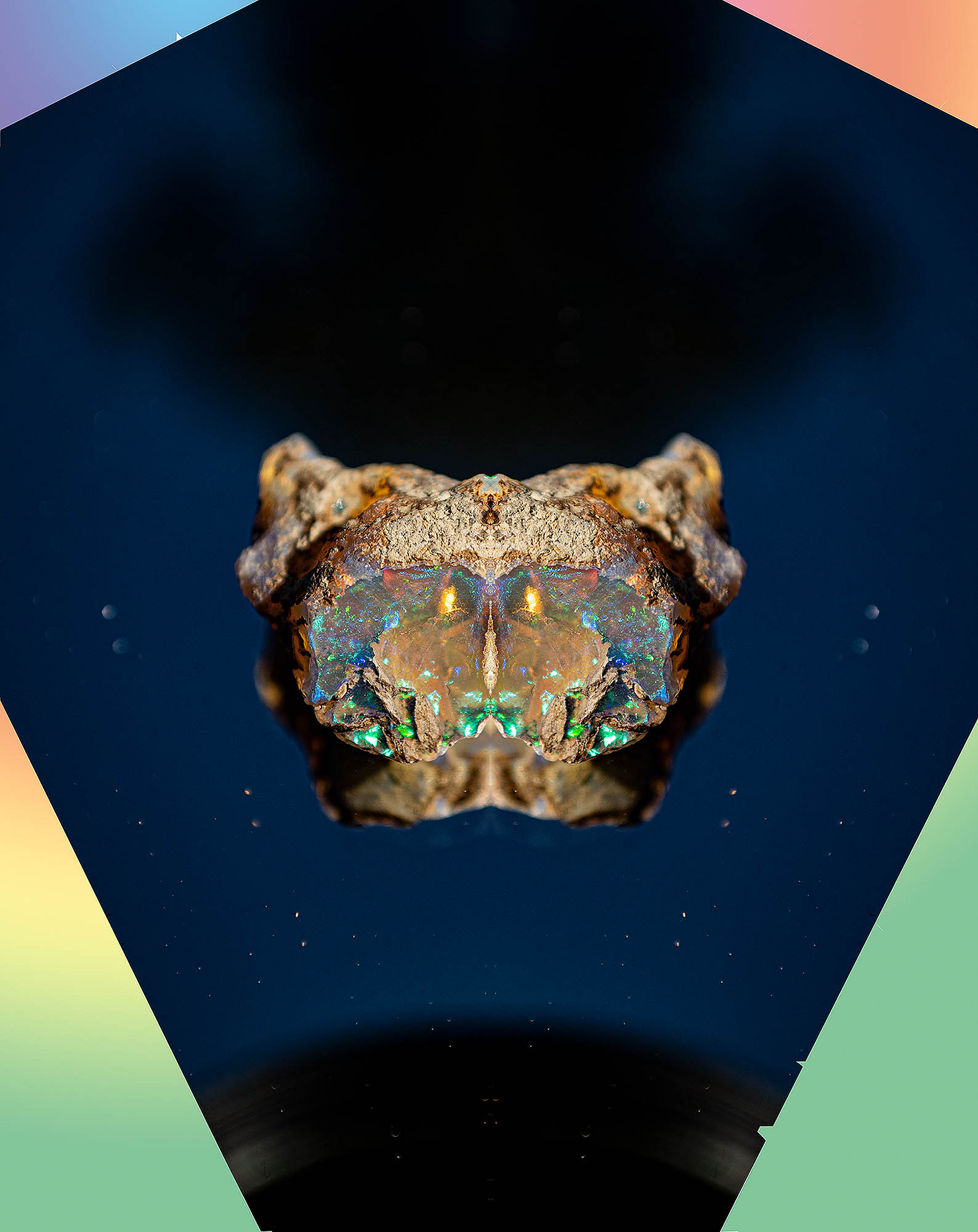 Fire opal mother, 2019, 35'' × 40" Digital art, Fuji Crystal DP II Photo Print under ¼" (8 mm) thick Acrylic Glass with aluminum Dibond backing