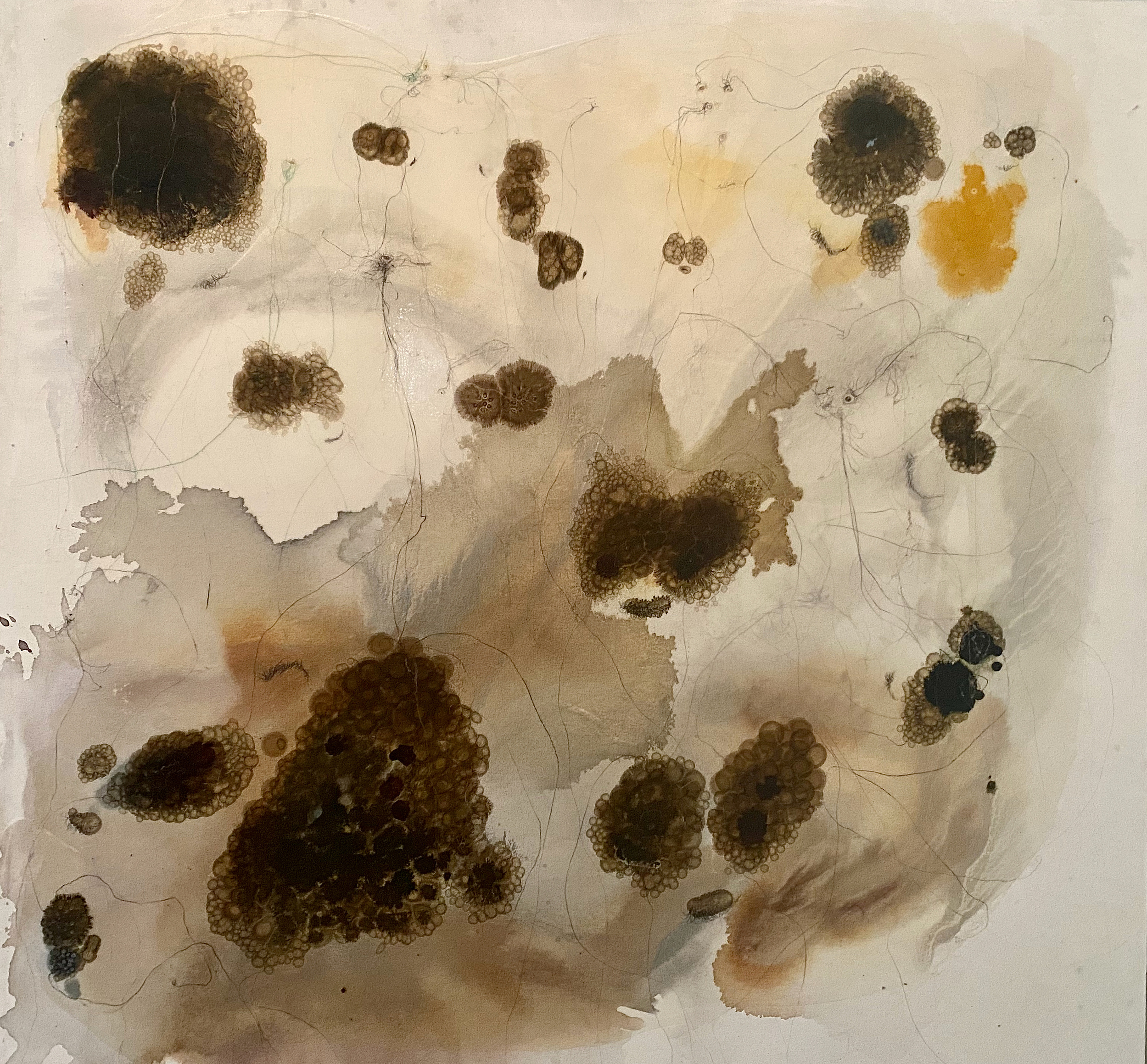 Enlazaduras, 2000, 48"x49.5" ink, acrylic, crayon, graphite, copper wire on canvas