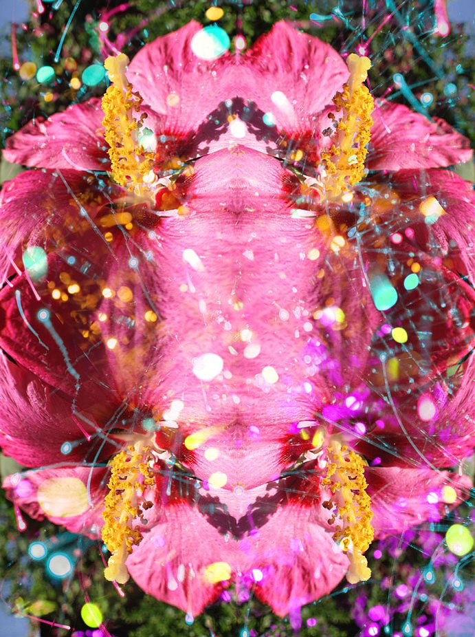 Flor romance: Appart II 2013, C-print - 42"x32"