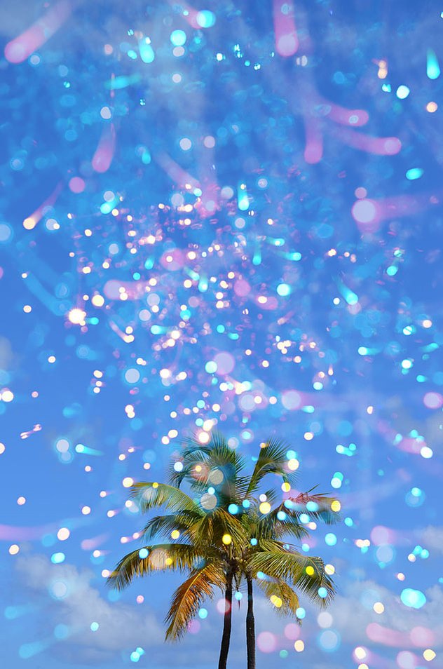 Palma de Ensueño 2013, C-print, 30” x 20”
