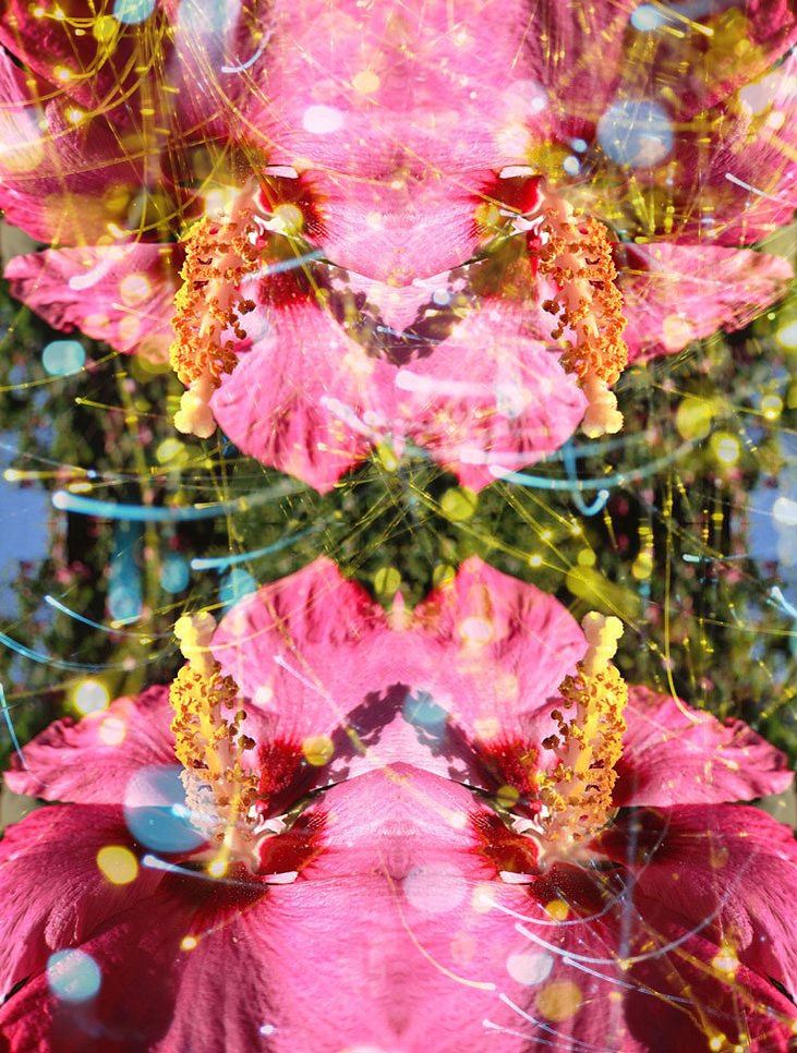 Flor romance: Encounter II 2013, 42"x32"