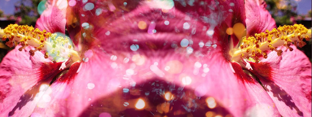 Flor romance: appart I 2013, C-print, 19.5"x42"