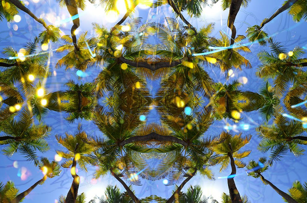 Palma Illusions II 2013,C-Print, 41.8" x 62.8"