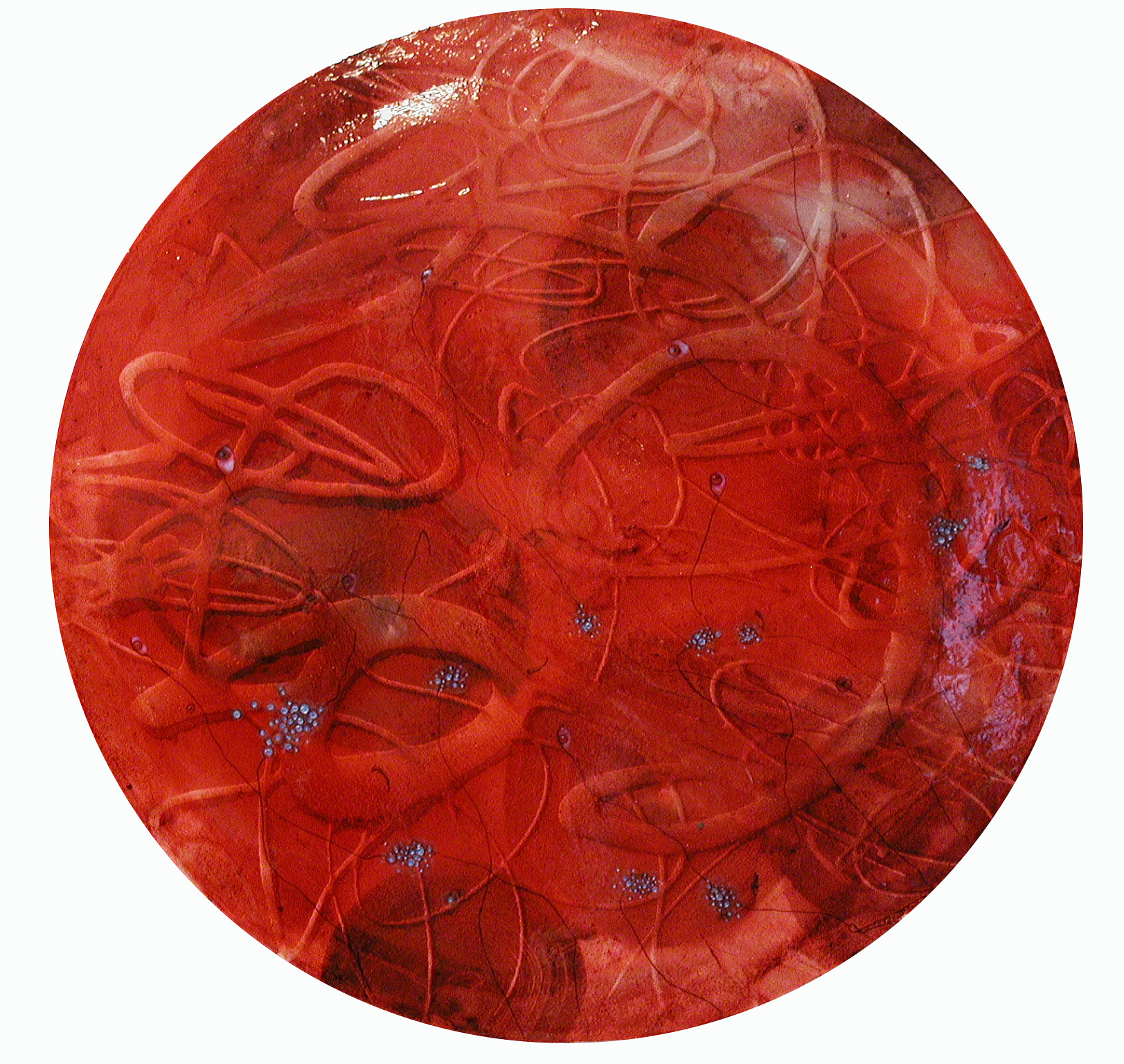 Alizarina, 20" d., 2002, watercolor, acrylic, ink, crayon, pencil on canvas