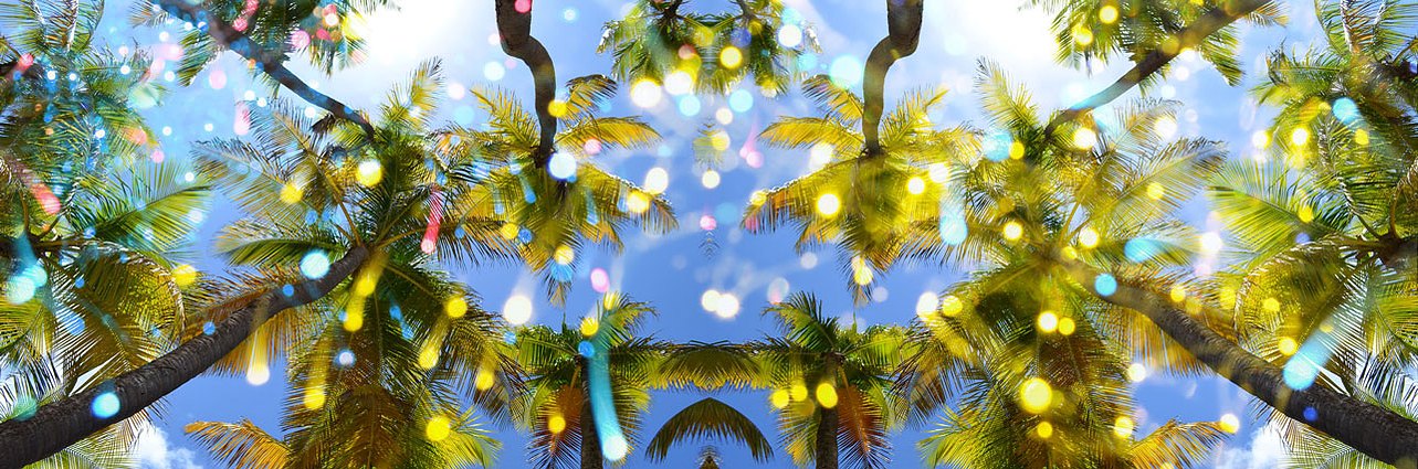 Palmash II 2013, C-print, 19.5"x42"