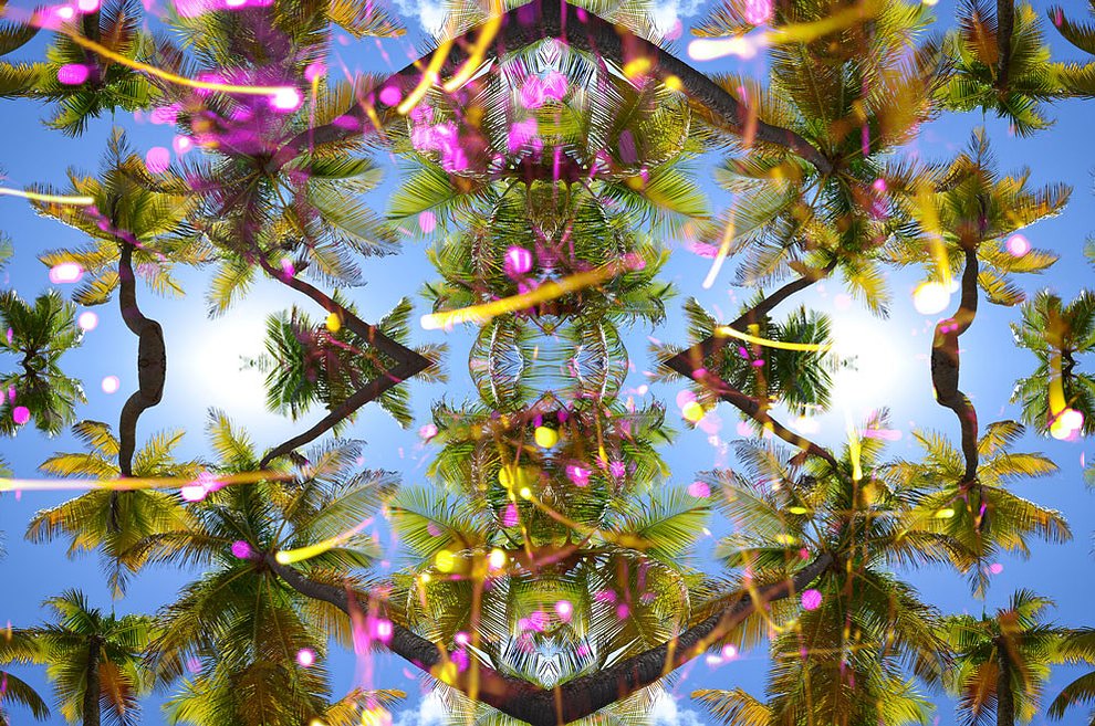 Palma Illusions I 2013,C-Print, 41.8" x 62.8"